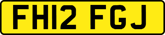FH12FGJ