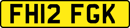 FH12FGK