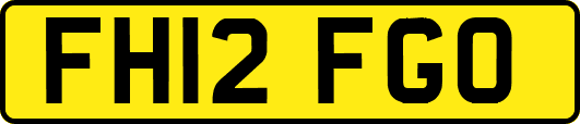 FH12FGO