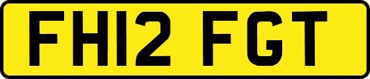 FH12FGT