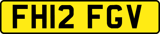 FH12FGV