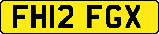 FH12FGX