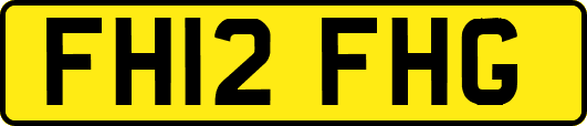 FH12FHG