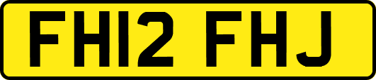 FH12FHJ