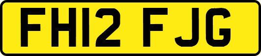 FH12FJG