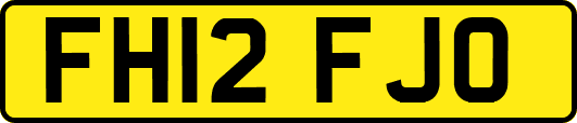 FH12FJO