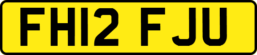 FH12FJU