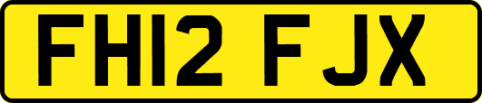 FH12FJX