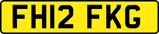 FH12FKG