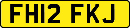 FH12FKJ