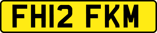 FH12FKM