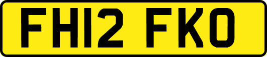 FH12FKO
