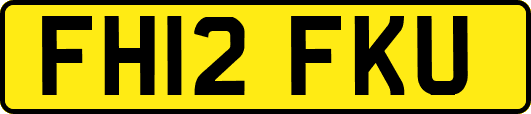 FH12FKU