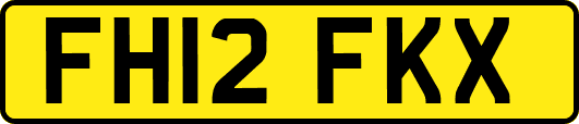 FH12FKX
