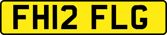 FH12FLG