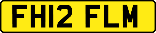 FH12FLM