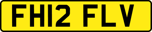 FH12FLV