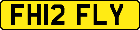 FH12FLY