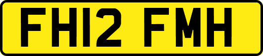 FH12FMH
