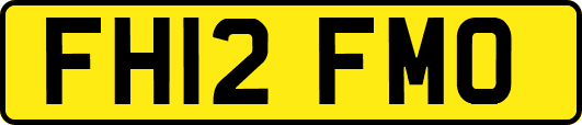 FH12FMO