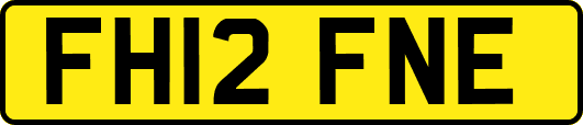 FH12FNE