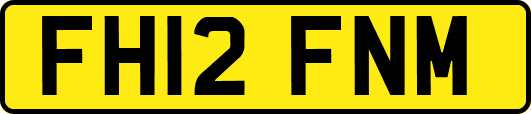FH12FNM