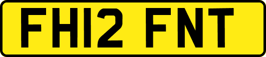 FH12FNT