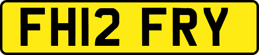 FH12FRY
