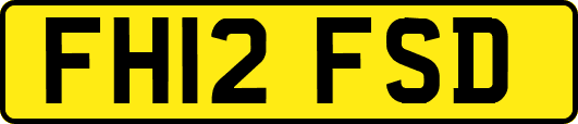 FH12FSD