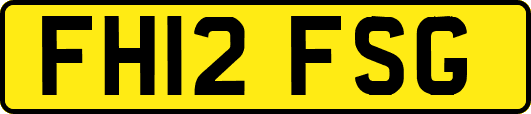 FH12FSG