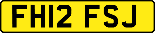 FH12FSJ