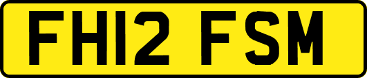 FH12FSM
