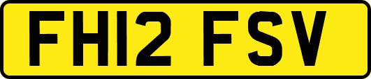 FH12FSV
