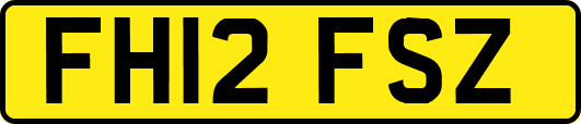 FH12FSZ