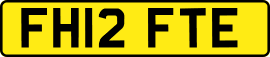 FH12FTE