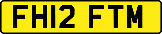 FH12FTM