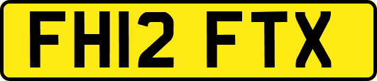 FH12FTX