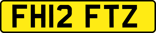 FH12FTZ