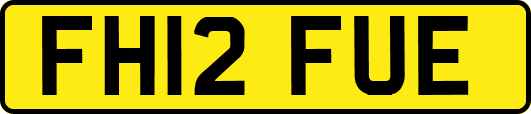 FH12FUE