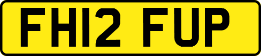 FH12FUP