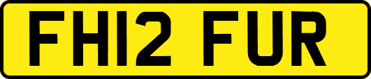 FH12FUR