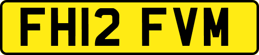FH12FVM