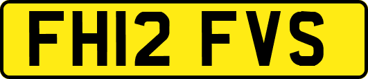 FH12FVS