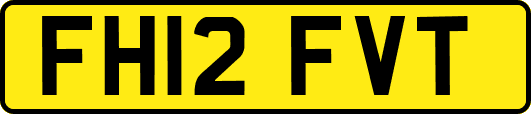 FH12FVT