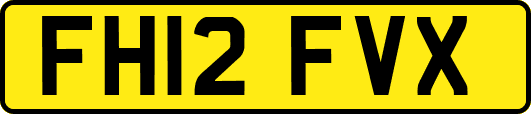 FH12FVX