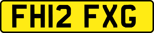 FH12FXG