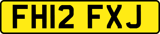 FH12FXJ