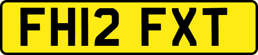 FH12FXT