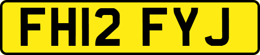 FH12FYJ