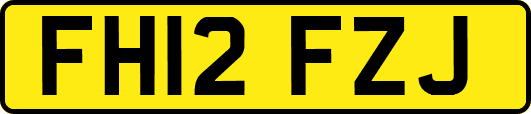 FH12FZJ